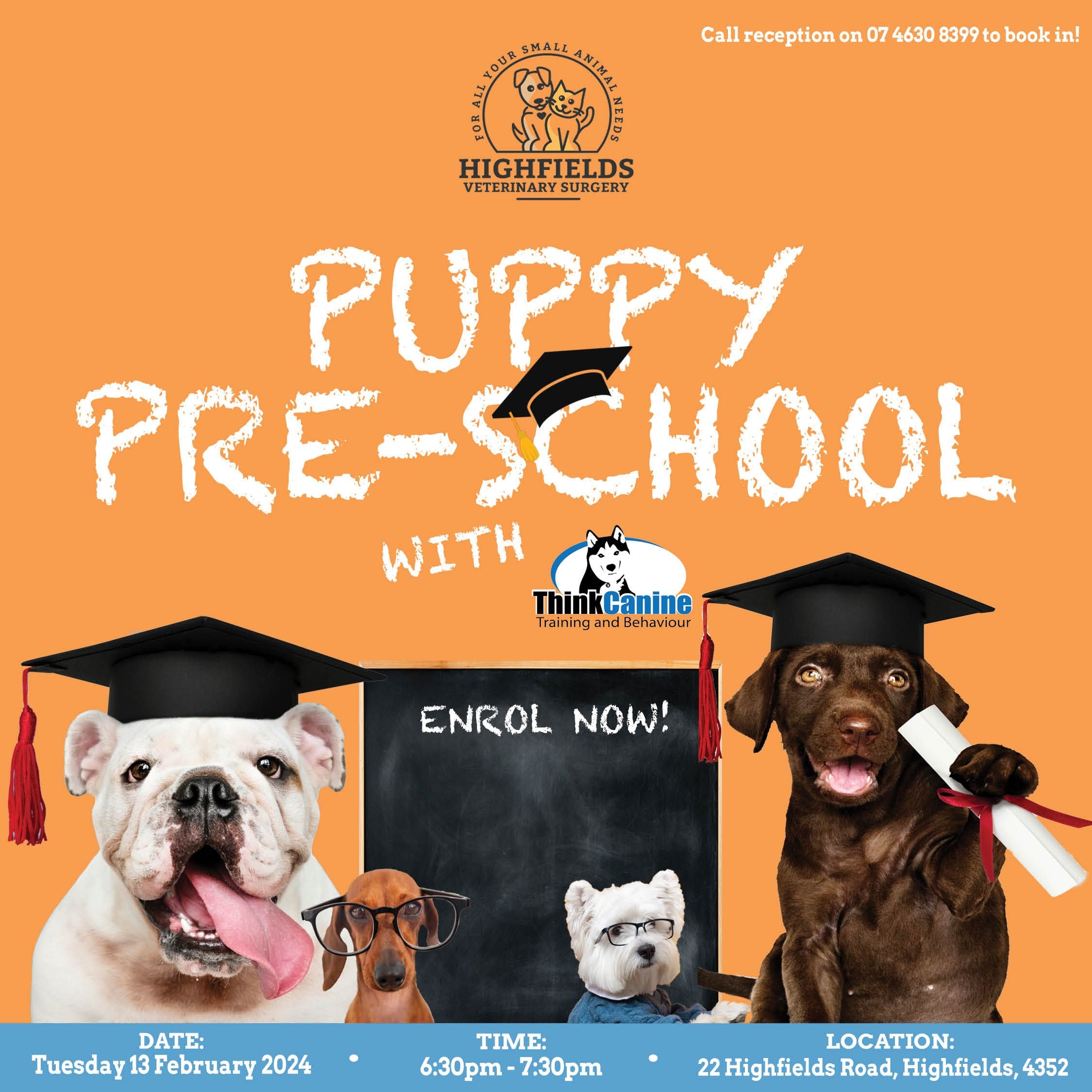 Puppy Pre-School Puppy Pre-School